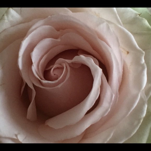 Meet your Posher, CC - Picture 3 of 3